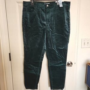 NEW - LOFT Dark Green Velvet Pants - "The Skinny" straight leg